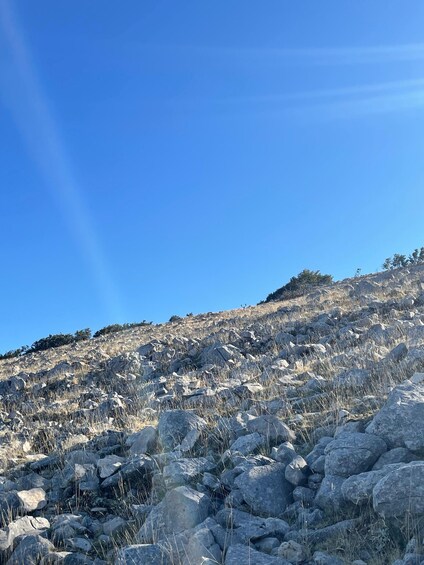 A rocky hillside with sparse vegetation under a clear blue sky. 4