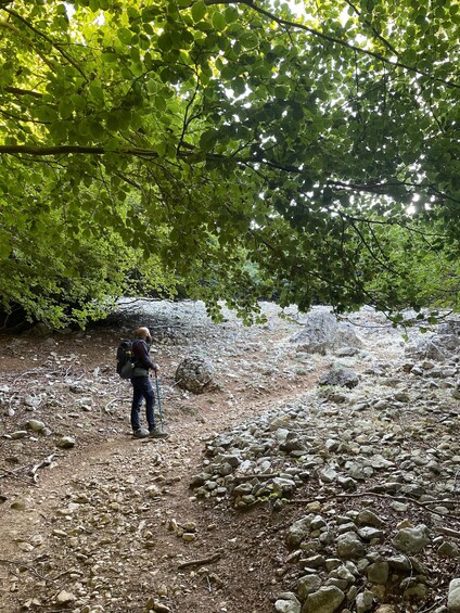 A hiker on a rocky trail with dense green foliage overhead. 3