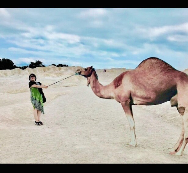 A person leading a camel in a sandy area. 5