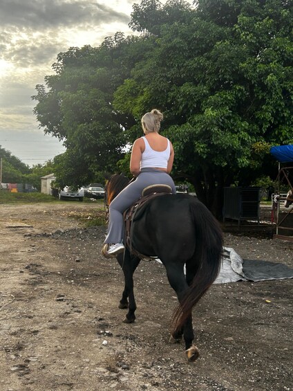 A person riding a horse on a dirt path with trees and buildings in the background. 5