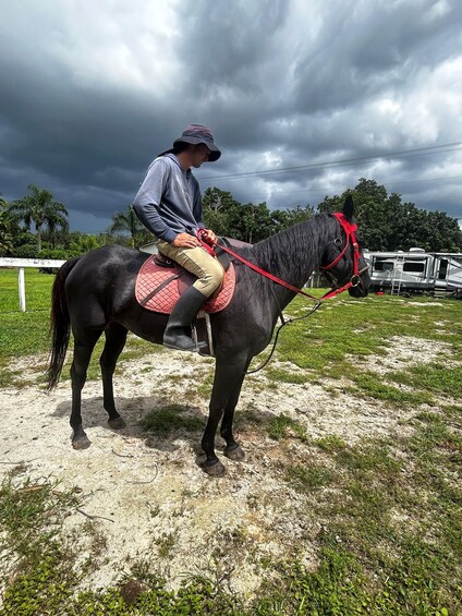 A person riding a black horse with a red halter, wearing a hat and beige pants, in a grassy area with a trailer in the background. 3