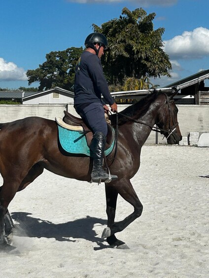 A person riding a horse in an outdoor arena. 4