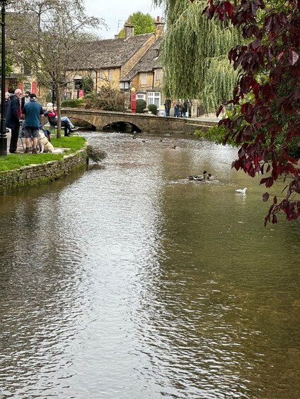 A calm river with ducks, a stone bridge, and people sitting on benches. 3
