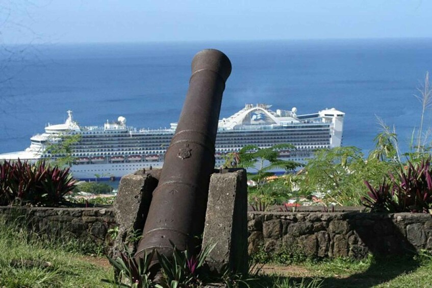 Un grand canon se trouve dans une zone herbeuse, avec un navire de croisière en arrière-plan. 3