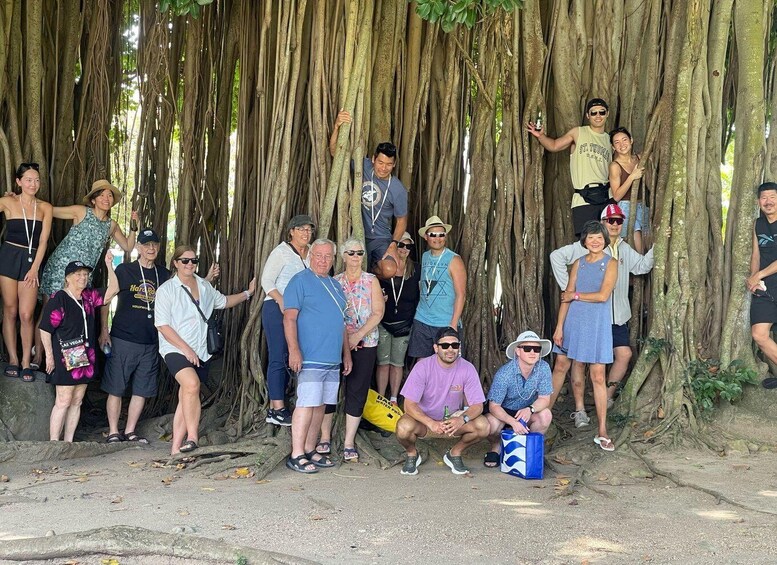 Un groupe de personnes se tient debout et est assis devant un grand arbre aux racines épaisses. 5