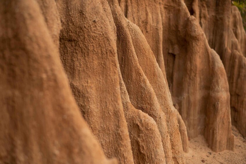A close-up of a sandy cliff with vertical striations. 2
