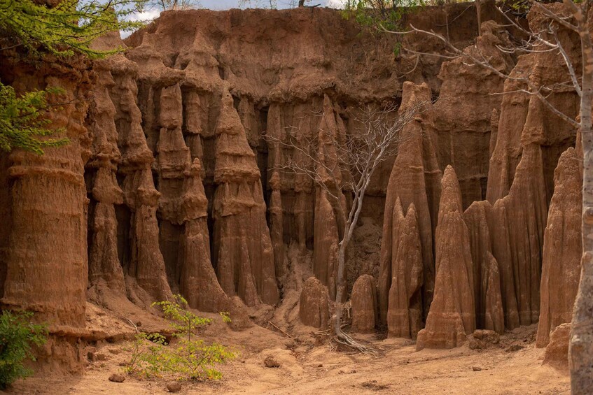A rugged landscape with towering rock formations and sparse vegetation. 4
