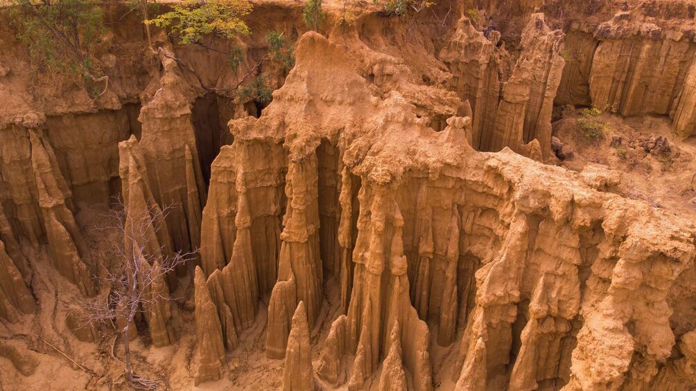 A rugged canyon landscape with steep, eroded rock formations and sparse vegetation. 5