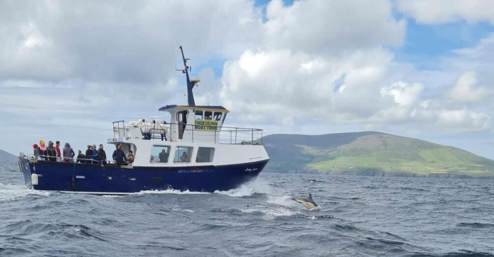 A boat with people on board, a dolphin jumping out of the water, and a hilly landscape in the background. 1