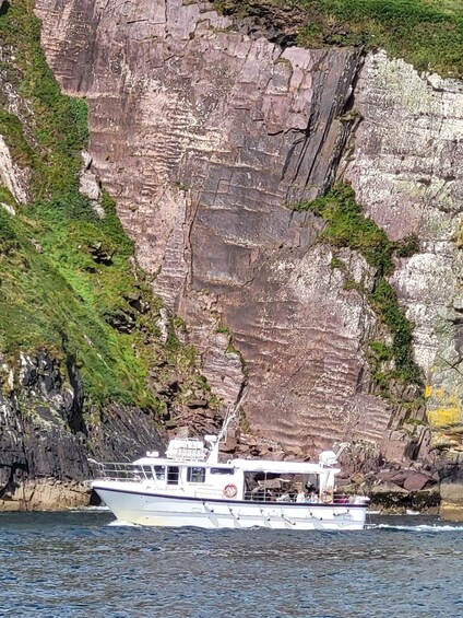 A boat navigating near a rocky coastline with cliffs and greenery. 4