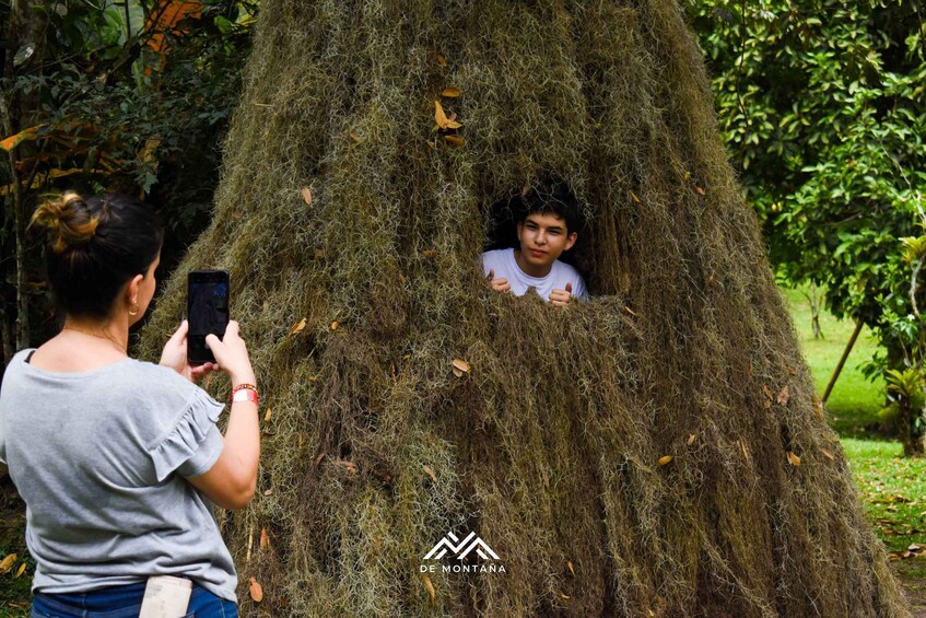 A person taking a photo of a large tree with a moss-covered trunk. 5