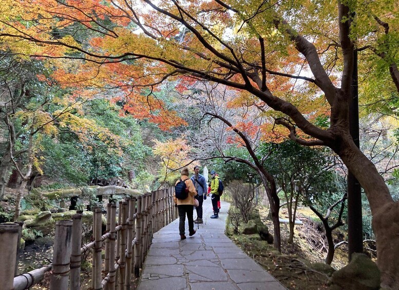 A stone pathway surrounded by trees with autumn foliage, a bamboo fence, and hikers. 3
