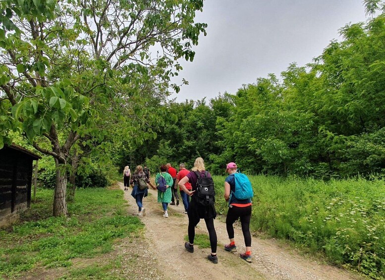 A group of hikers on a dirt path surrounded by lush greenery. 1
