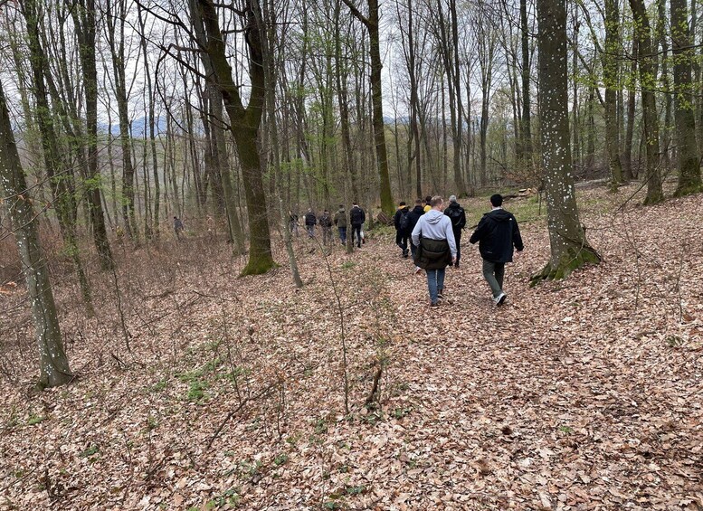 A group of people walking through a forest with leaf-covered ground and tall trees. 2