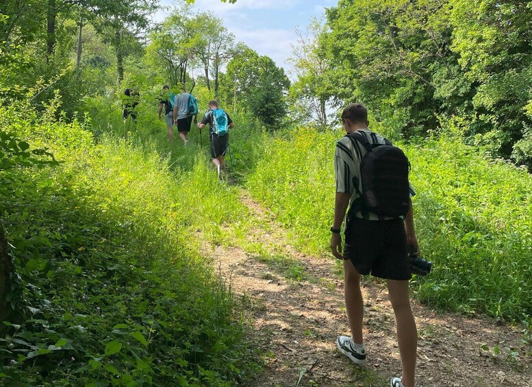 A group of hikers on a forest trail surrounded by dense greenery. 3
