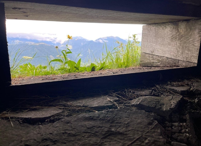 A concrete ledge with grass and a flower, overlooking a mountain range. 1