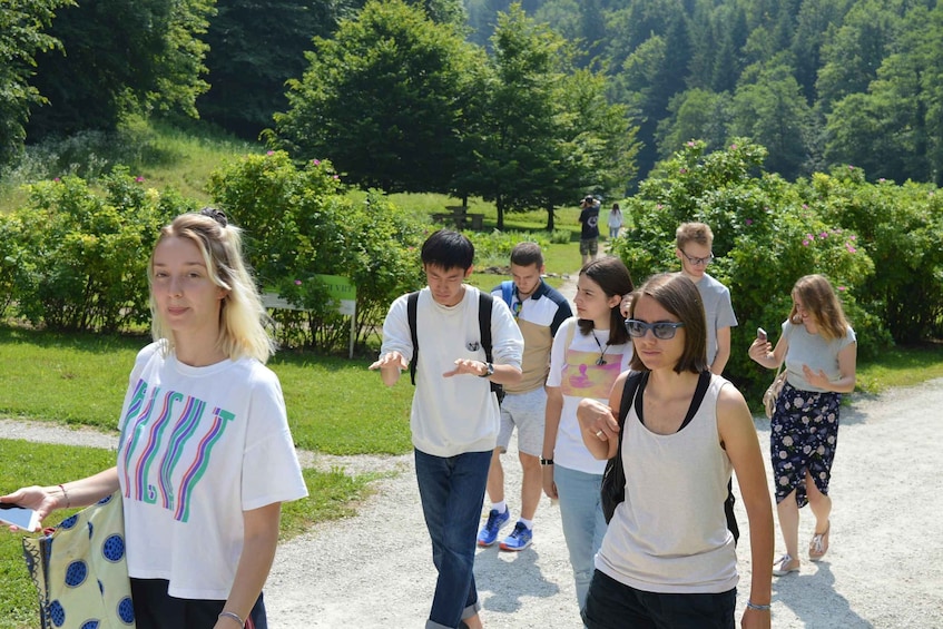 A group of people walking on a path surrounded by greenery. 5