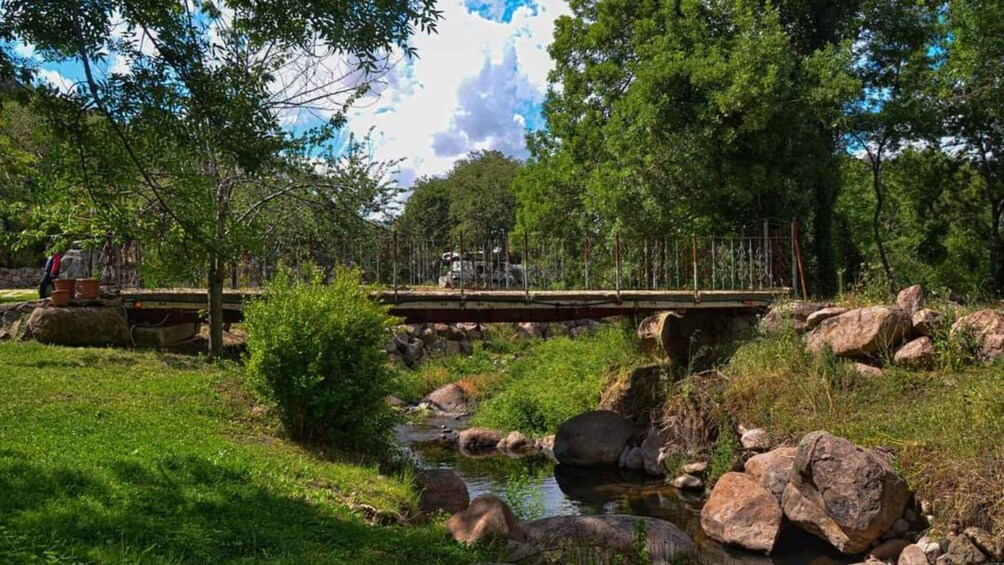 A rustic wooden bridge over a small stream, surrounded by lush greenery and rocks. 3
