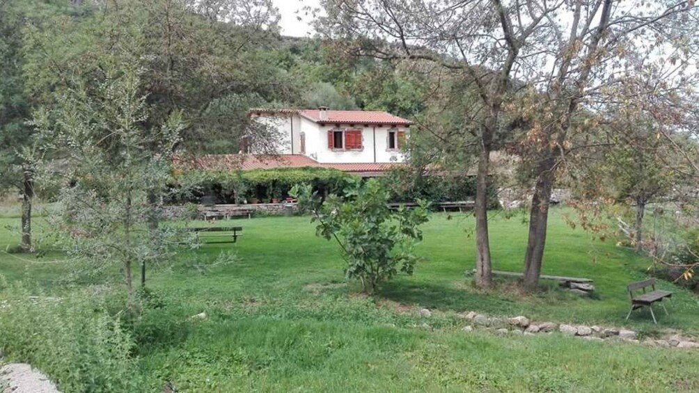 A house with a red roof, surrounded by a grassy yard and trees. 1