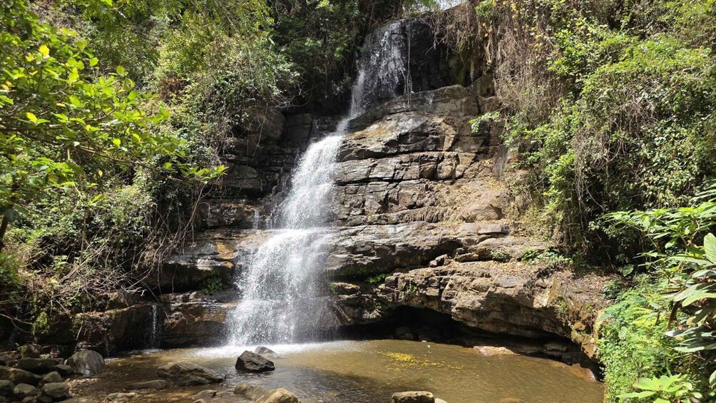 A waterfall cascading down a rocky cliff surrounded by lush greenery. 3