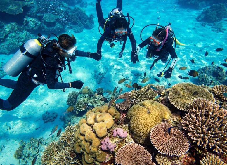 Three scuba divers exploring a vibrant coral reef with various fish species. 4