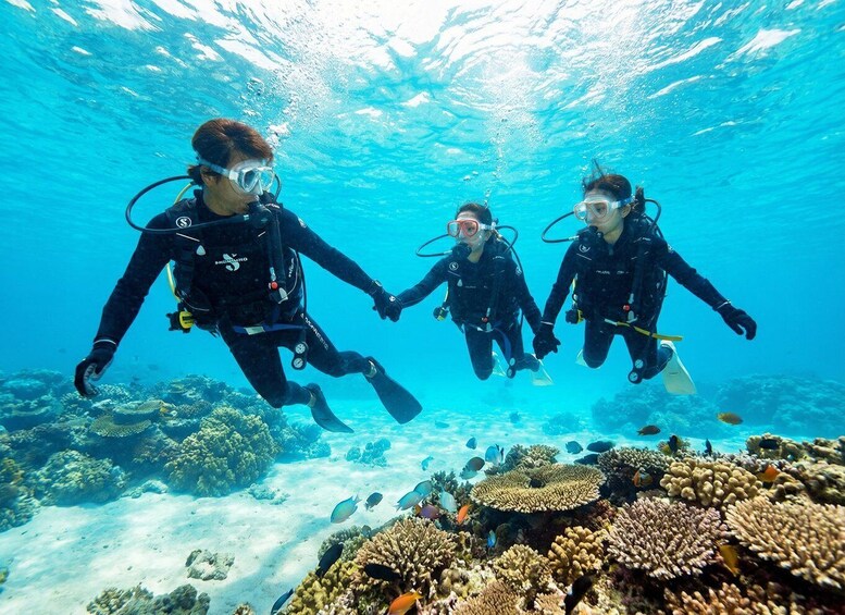 Three scuba divers swimming underwater with coral reefs and fish. 3