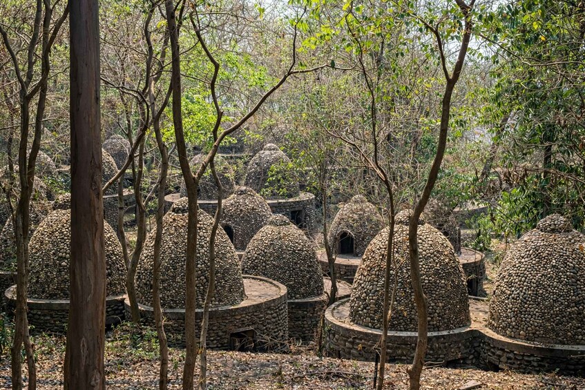 A forest with stone structures resembling huts. 1
