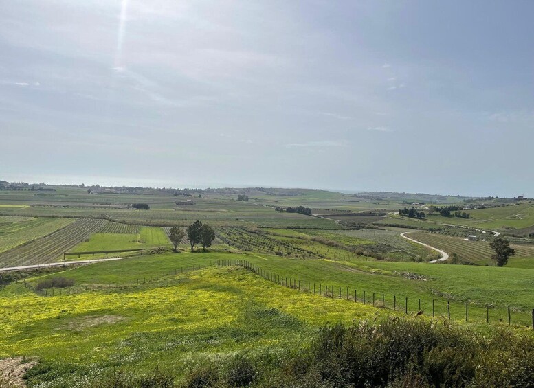 A rural landscape with fields, a winding road, and a distant view of a town. 1