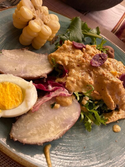 A plate with sliced meat, a boiled egg, a creamy sauce, and some greens. 4