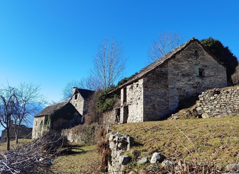 A stone building with a sloped roof, surrounded by trees and a clear blue sky. 1