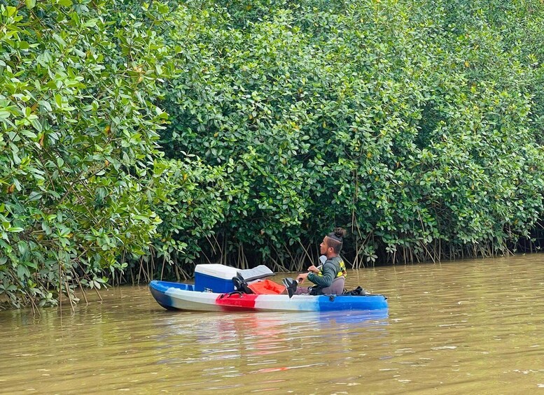 A person paddling a canoe through a mangrove forest. 2