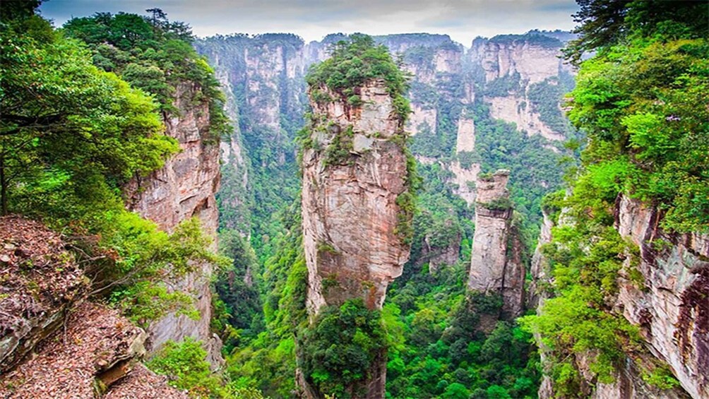 A canyon with steep cliffs and dense green vegetation. 2