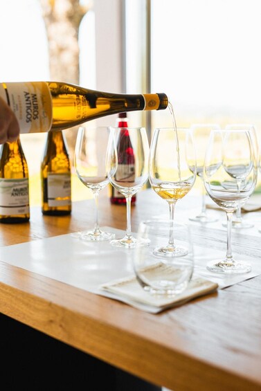 A bottle of white wine being poured into several glasses on a wooden table. 3