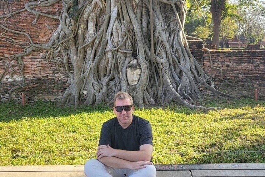 A person sitting on a bench with a large tree with extensive roots in the background. 3