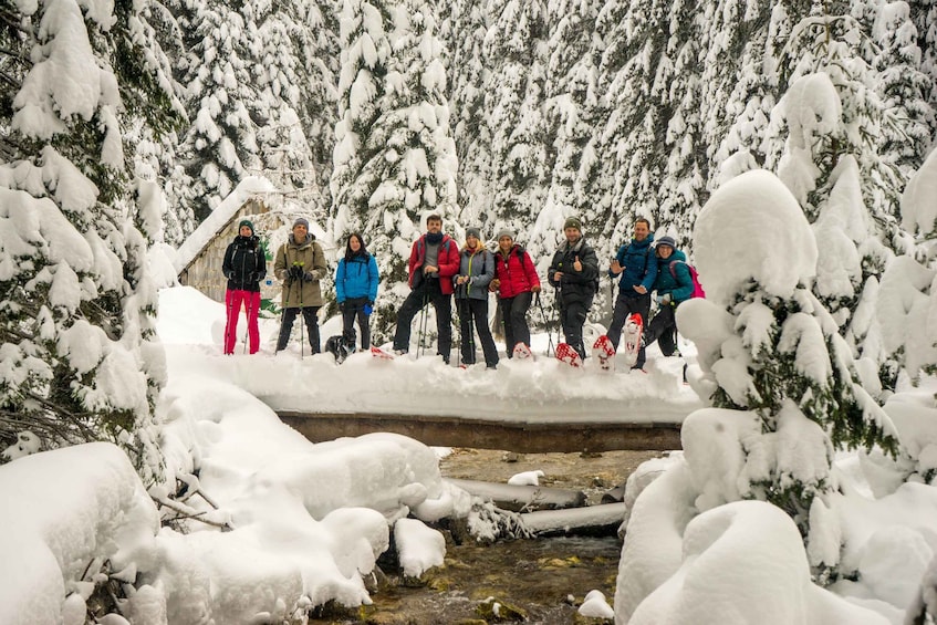 A group of people standing on a snow-covered bridge surrounded by snow-laden trees. 1