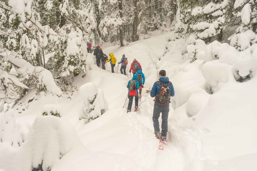 A group of hikers ascending a snow-covered mountain trail. 2