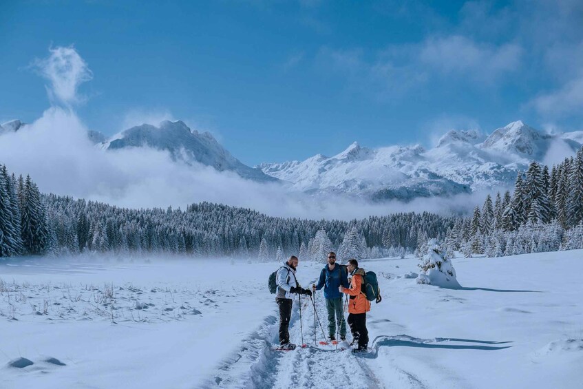 A group of people hiking in a snowy mountainous area with snow-covered trees and peaks in the background. 5
