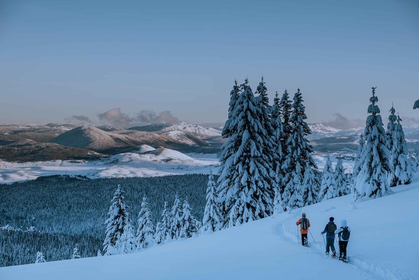 A snowy mountain landscape with hikers. 3