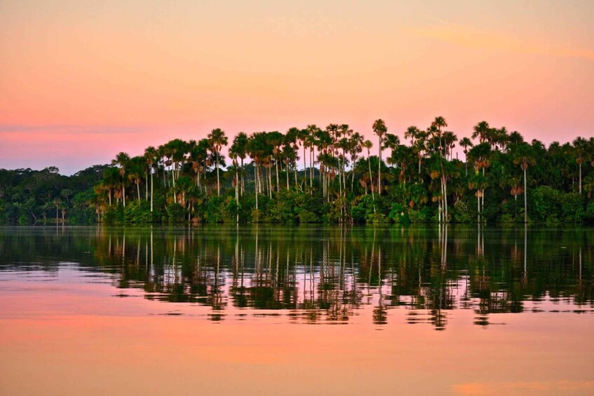 A calm lake with tall palm trees reflecting the sunset sky. 2