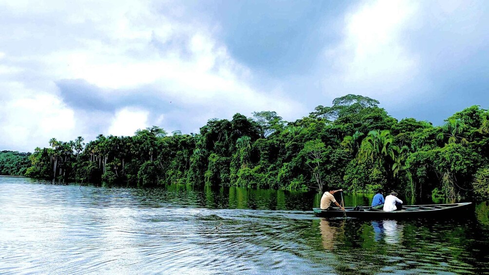 A calm river with dense green foliage on the banks and a cloudy sky. 3