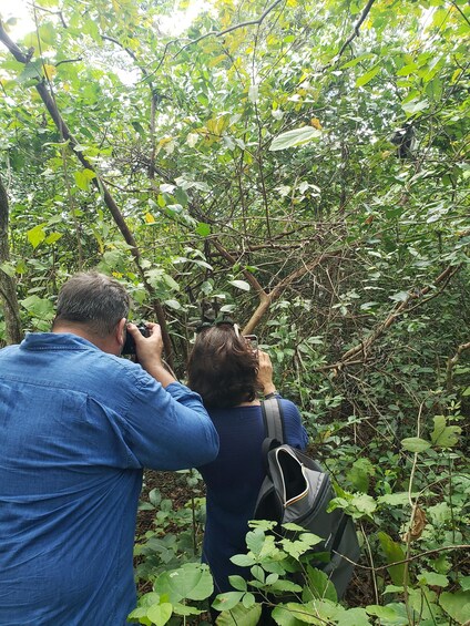 Two people taking photographs in a dense forest. 3