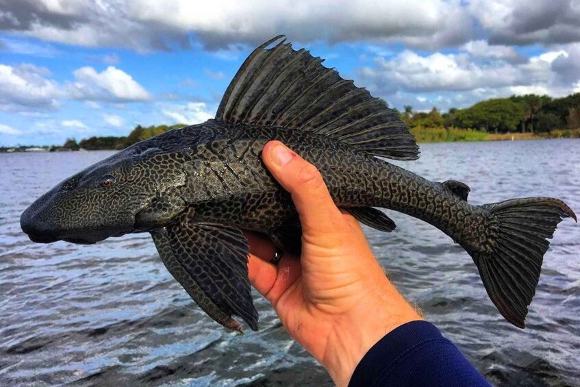 A person holding a fish with a textured body and fins, with a body of water and a cloudy sky in the background. 4