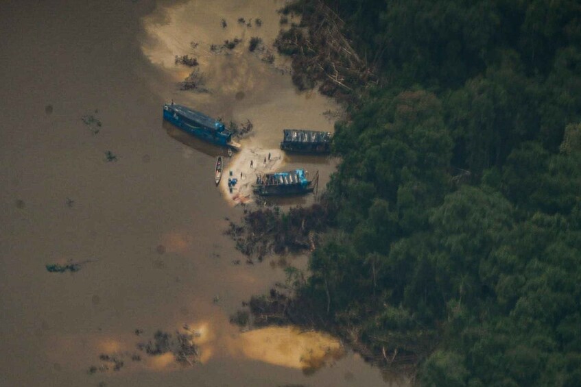 A river with boats and a forested area. 1