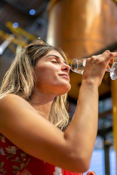 Alto Valle de Elqui: Últimos Poblados and Wine Tourism 1