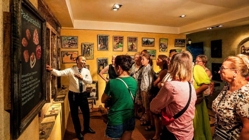 A group of people in a museum or gallery, observing a display about minerals. 3