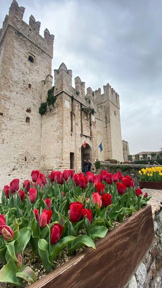 A historic stone castle with red tulips in the foreground. 2