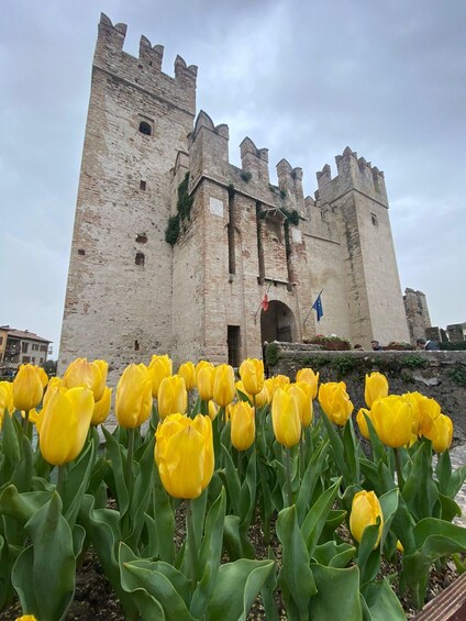 A historic castle with a moat, surrounded by yellow tulips. 3