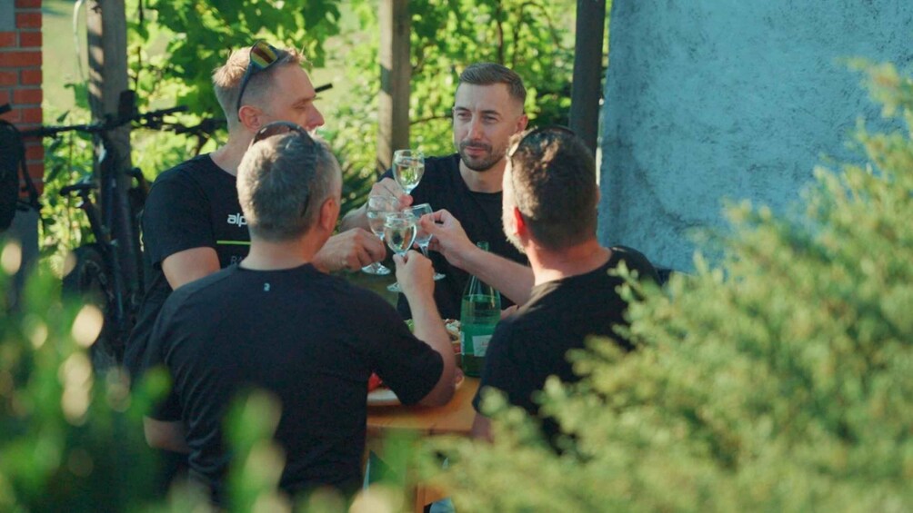 A group of people toasting with wine glasses at an outdoor table. 4