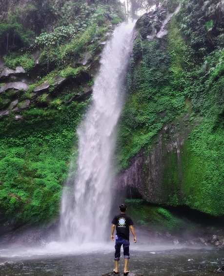 A waterfall in a lush green forest. 5