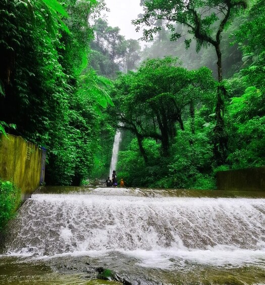A waterfall in a lush green forest. 4